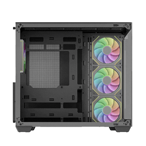 Case