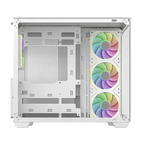 Case