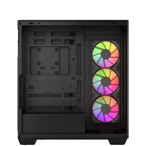 Case