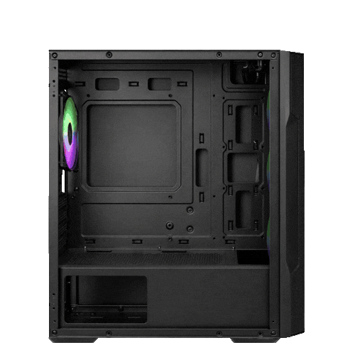 Case