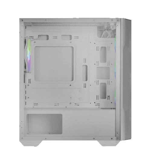 Case