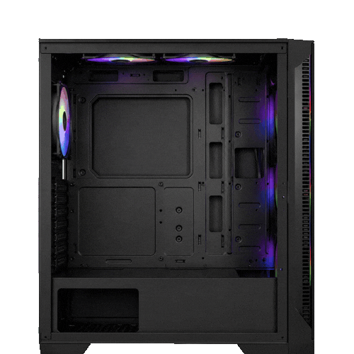 Case