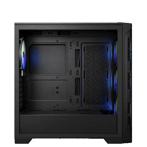 Case