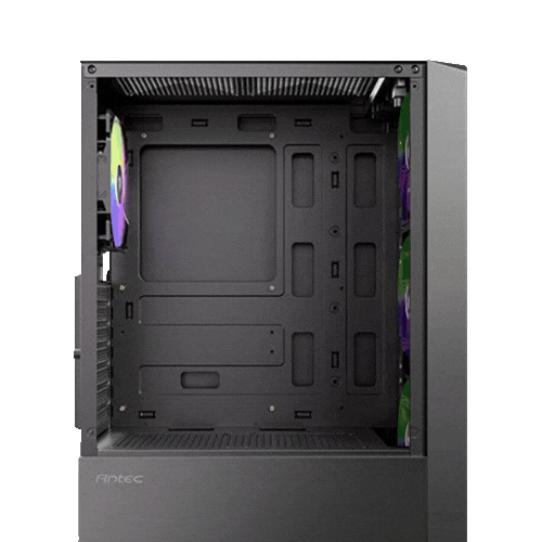 Case