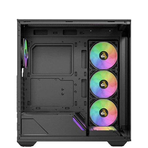 Case