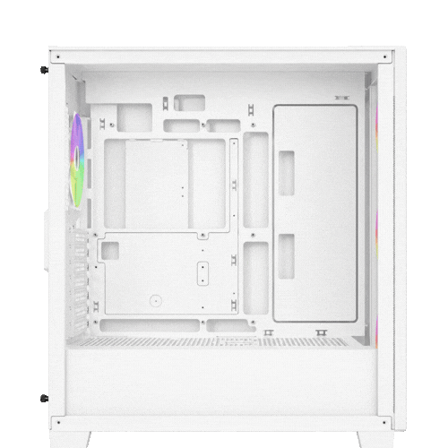 Case