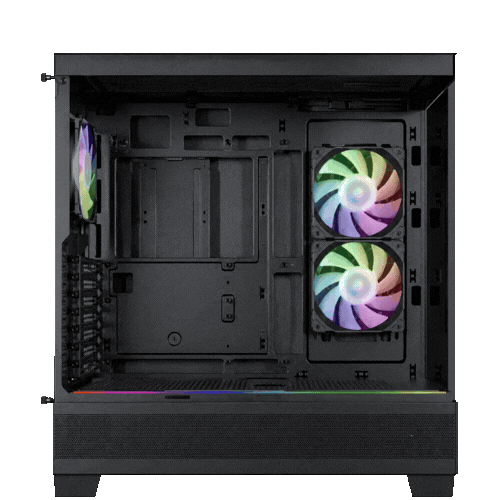 Case