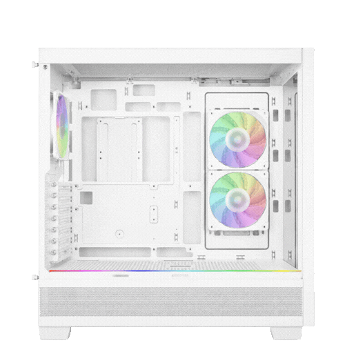 Case