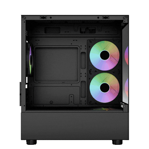 Case