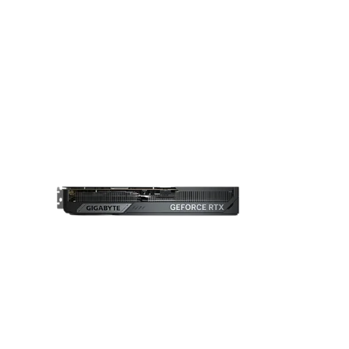 GPU