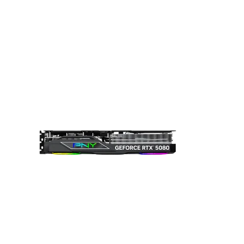 GPU