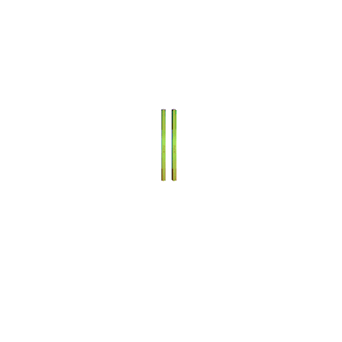 RAM