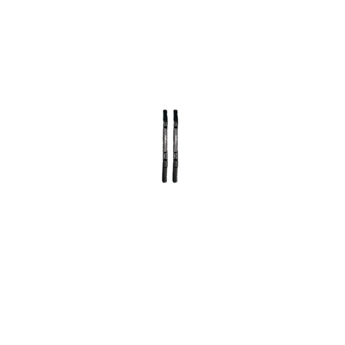 RAM