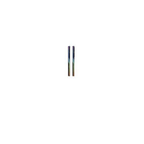 RAM