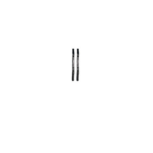 RAM