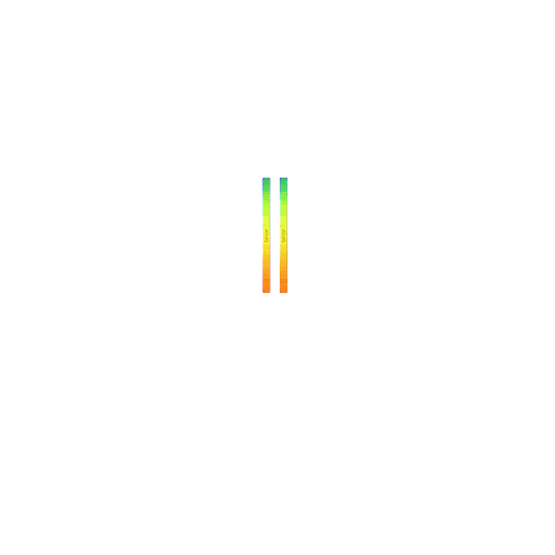 RAM